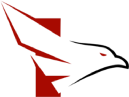 FALKE ESPORTS