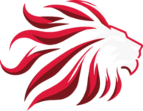 TEAM ASCEND