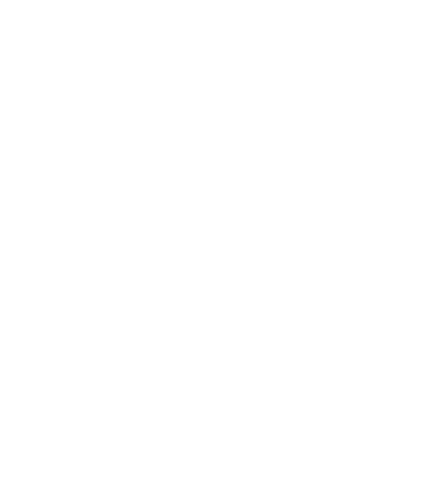 Spirit