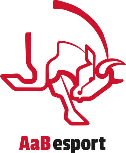 AaB Bulls
