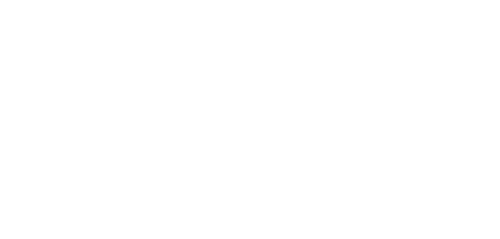 Team AceZone