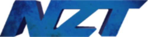 Team NZT