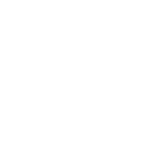 Insilio