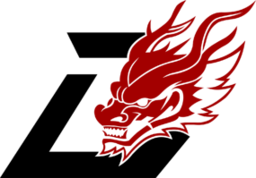Dragon Esports