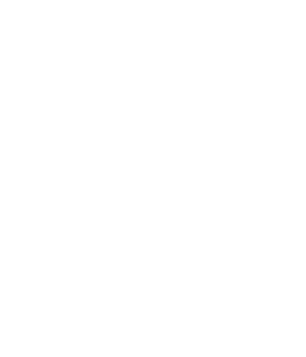 Spirit fe