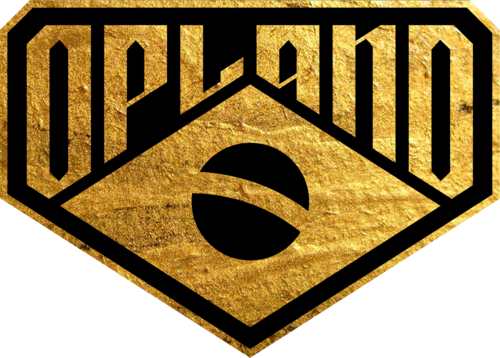 O PLANO