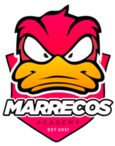Marrecos Academy
