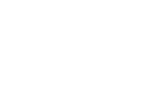 Esport BERG