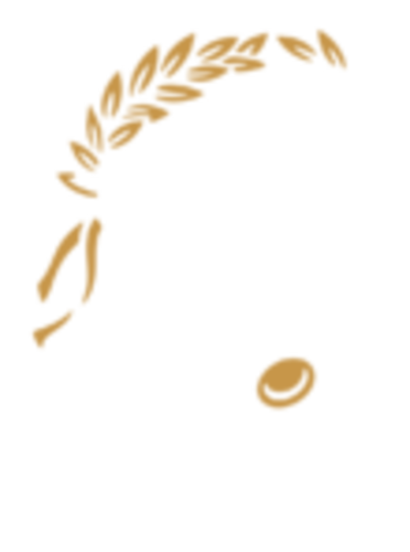 Animus Victoria