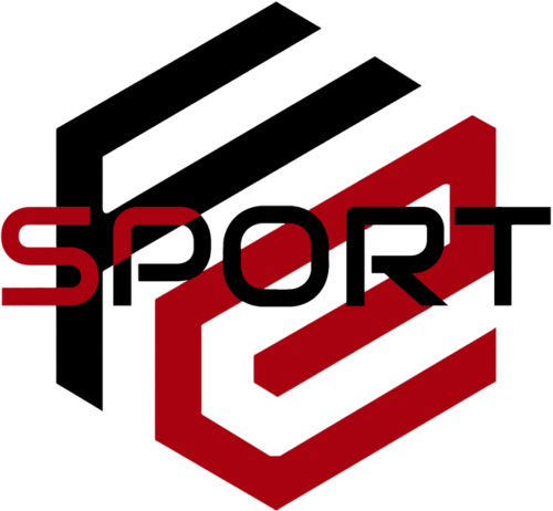 FIN E-SPORT