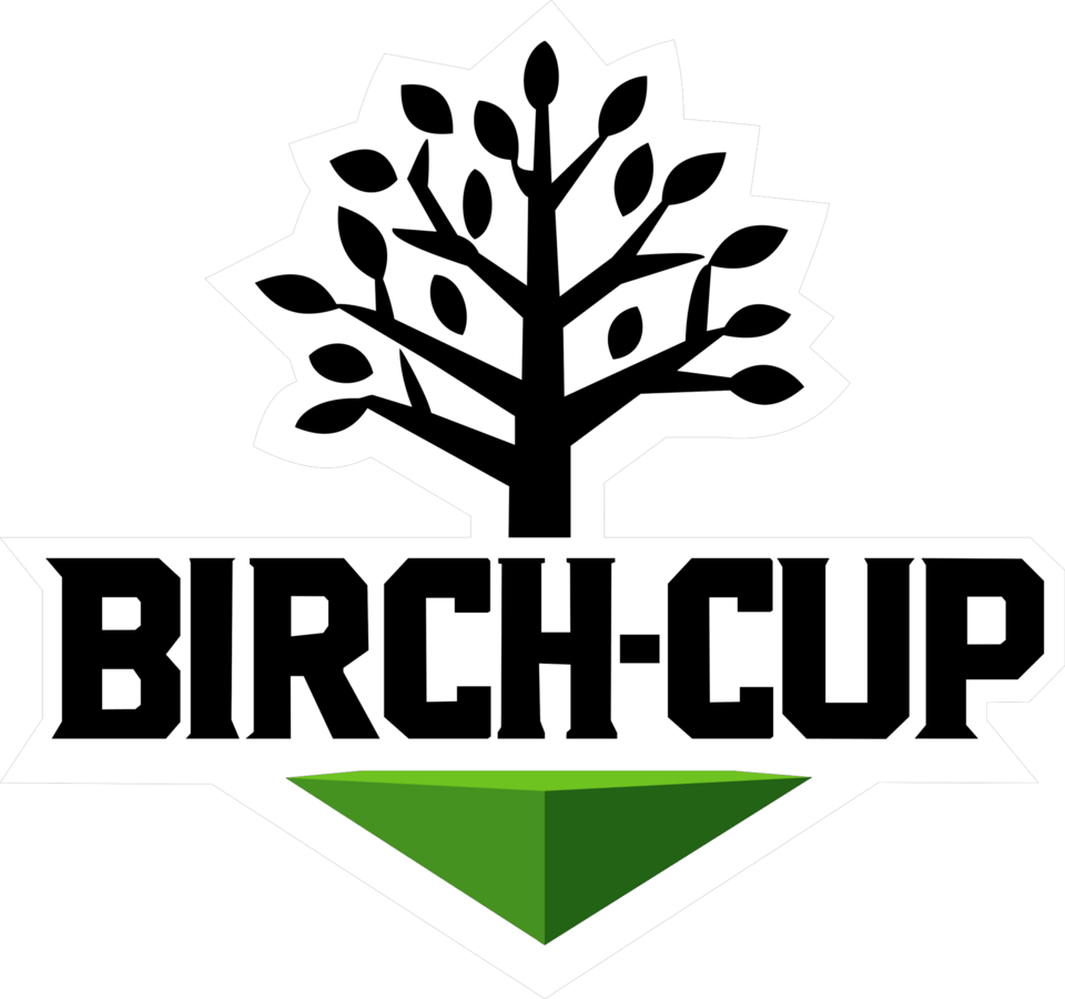 Birch Cup · Open Qualifier 2025 — Playoffs