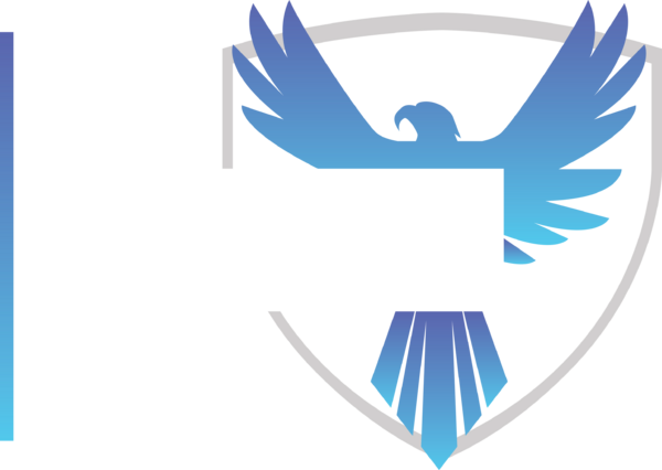NA Revival Cup · 2024 — Playoffs