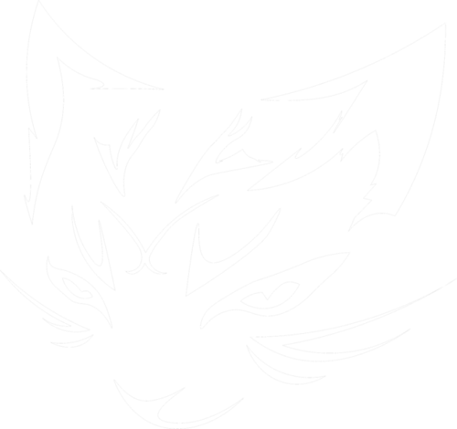 TEAM XDM