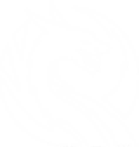 Qiang